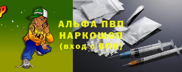 амф Бородино