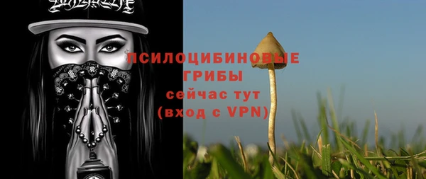 амф Бородино