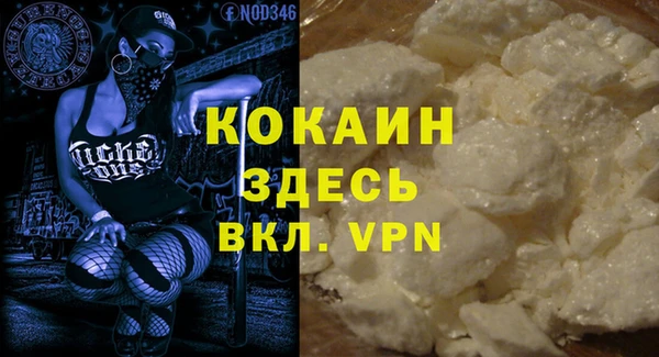 амф Бородино