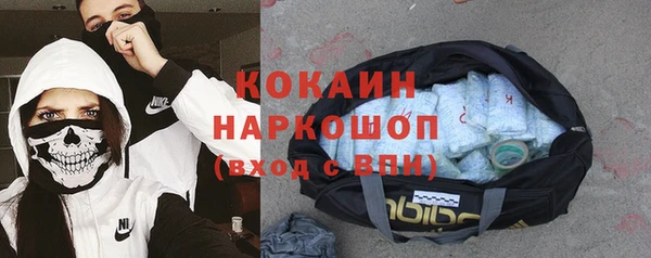 амф Бородино