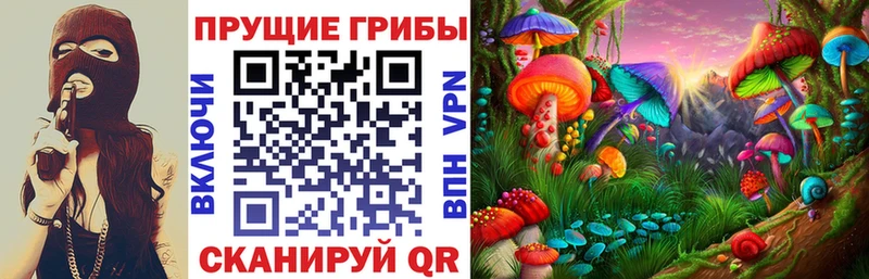Галлюциногенные грибы Psilocybe  как найти   Бугуруслан 